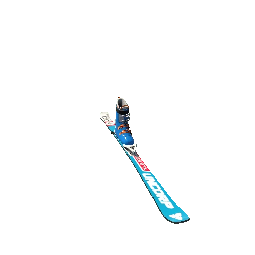 Snow Skis 170 cm COMPLETE LEFT (1)